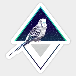 Modern Design Space Budgie Sticker